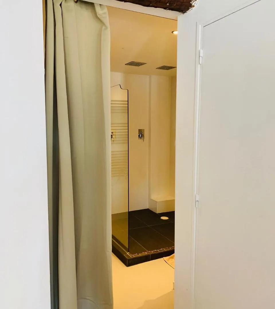 Ross 5- F2, Lumineux, Balcon, Loft, Clim, Vieux-Nice Apartment